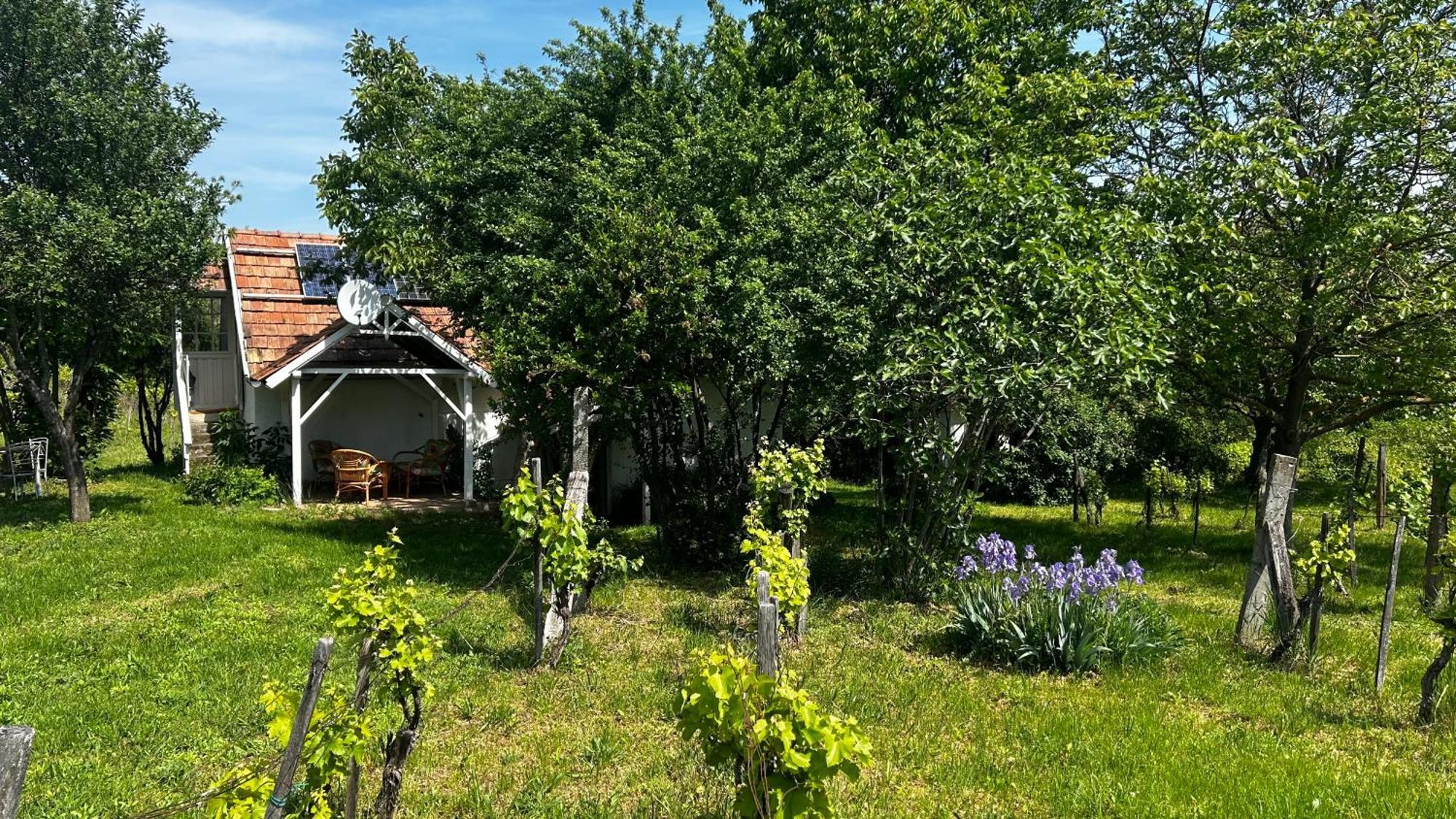 Csobanc Szerelem-Nemzeti Park-Oenallo Haz - Klimatizalt Gyulakeszi Exteriér fotografie